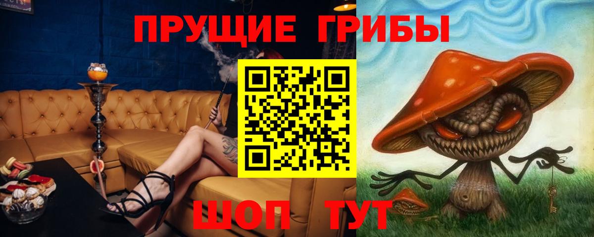 Галлюциногенные грибы GOLDEN TEACHER Сыктывкар