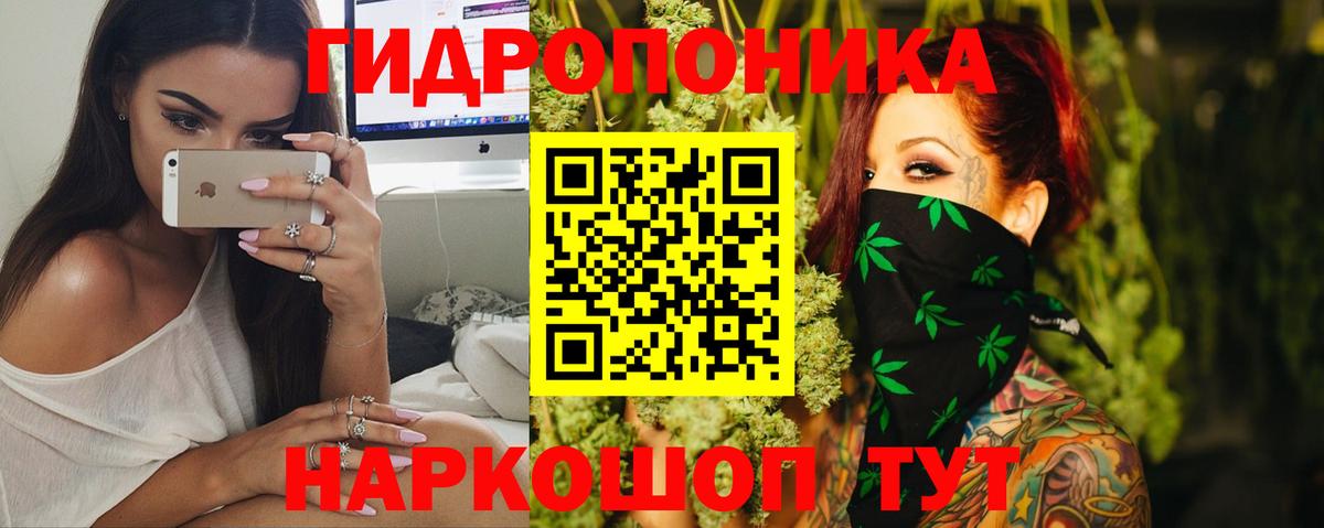 Шишки марихуана план Сыктывкар